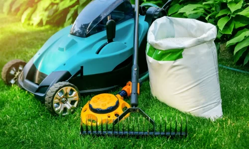 Garden Services